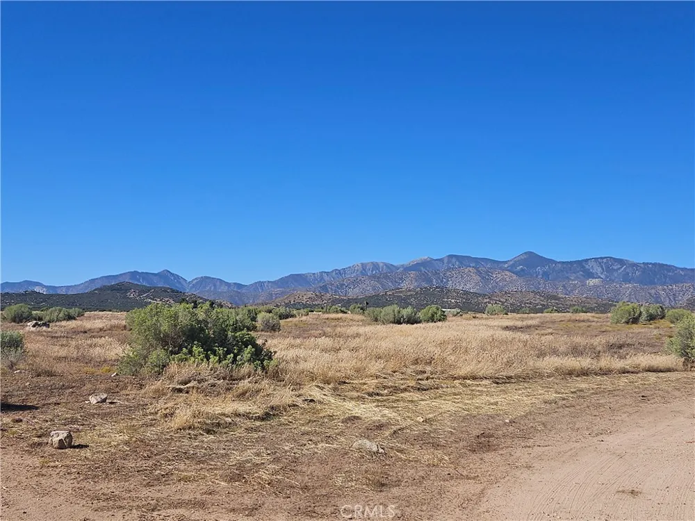 Mesquite Phelan, CA 92371