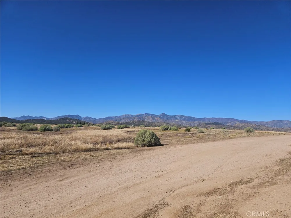 Mesquite Phelan, CA 92371