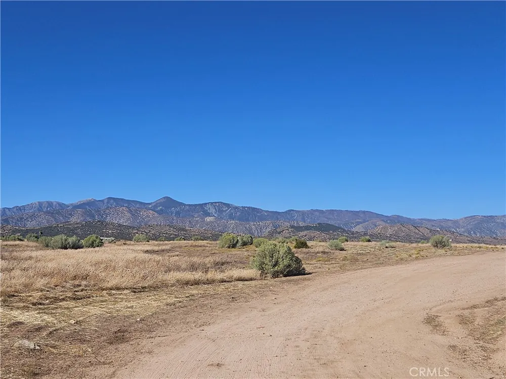 Mesquite Phelan, CA 92371