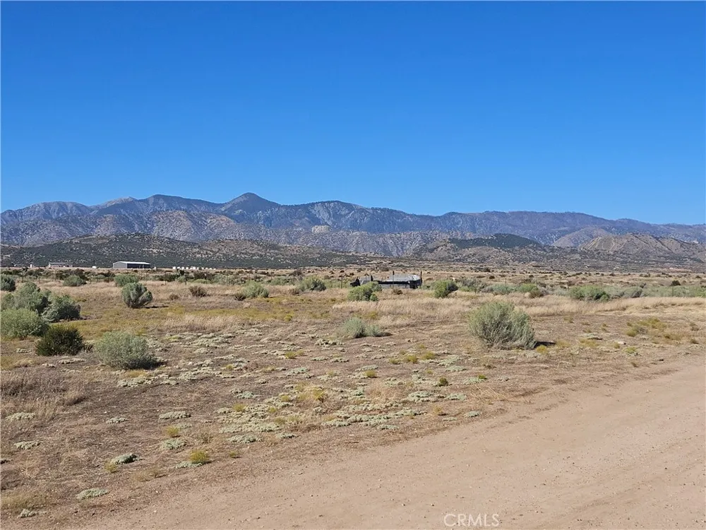Mesquite Phelan, CA 92371