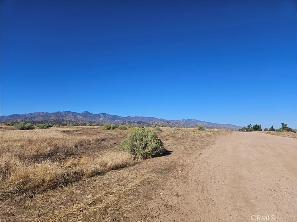 Mesquite Phelan, CA 92371