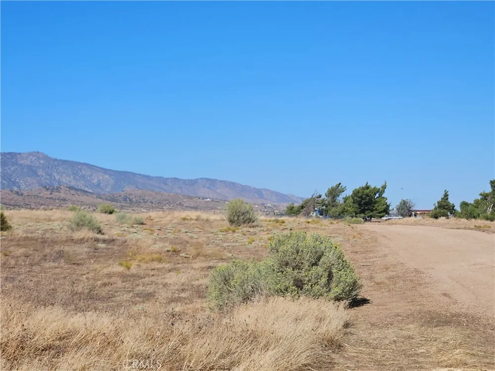 Mesquite Phelan, CA 92371