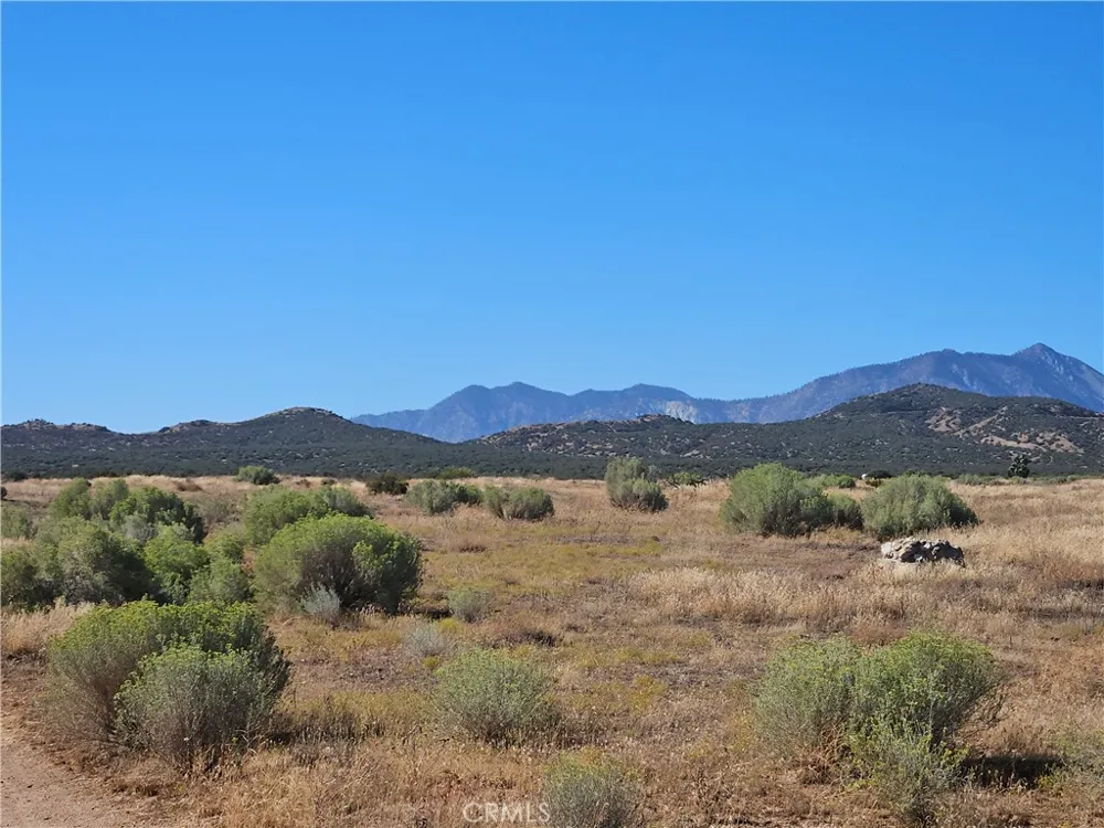 Mesquite Phelan, CA 92371