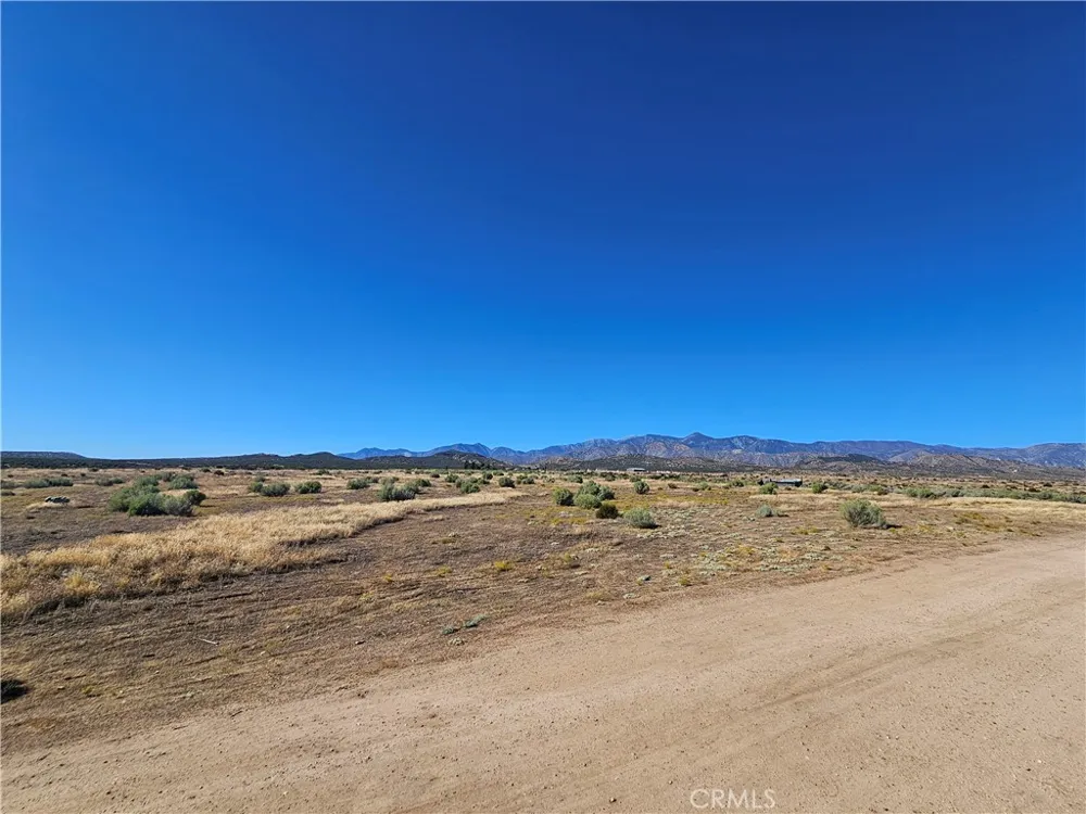 Mesquite Phelan, CA 92371