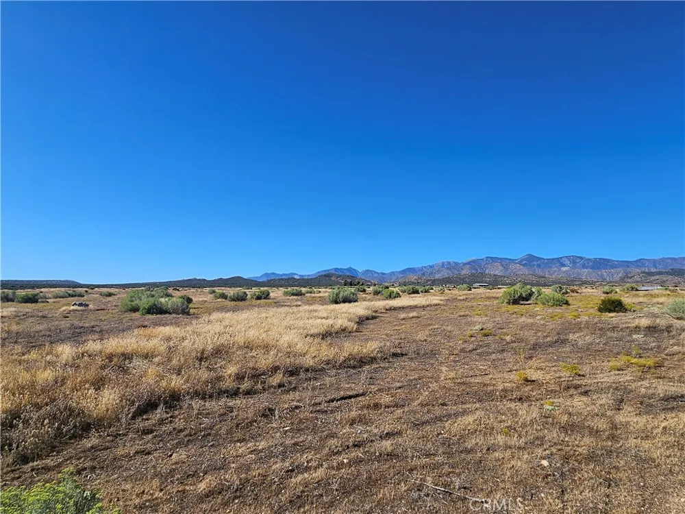 Mesquite Phelan, CA 92371