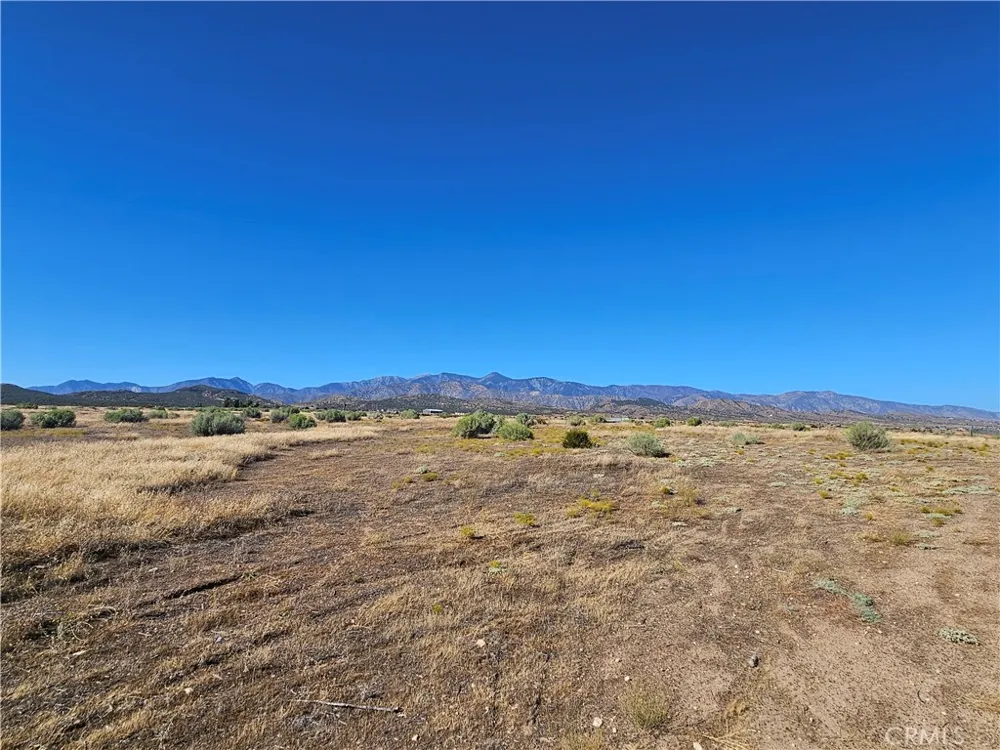 Mesquite Phelan, CA 92371