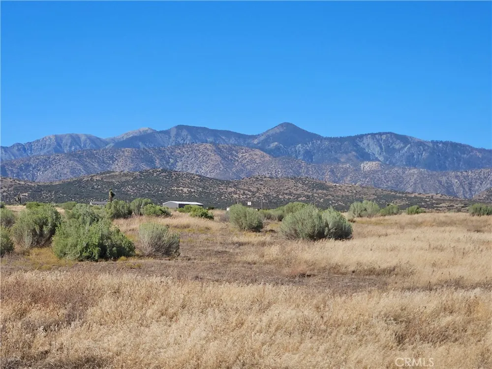 Mesquite Phelan, CA 92371