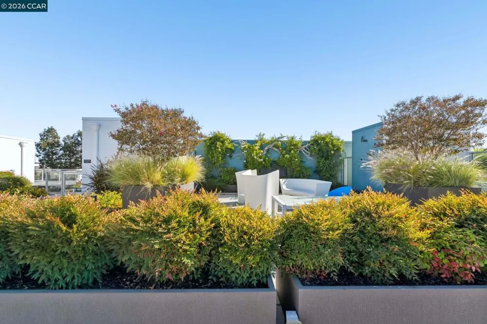 1954 Trinity Ave #303 Walnut Creek, CA 94596