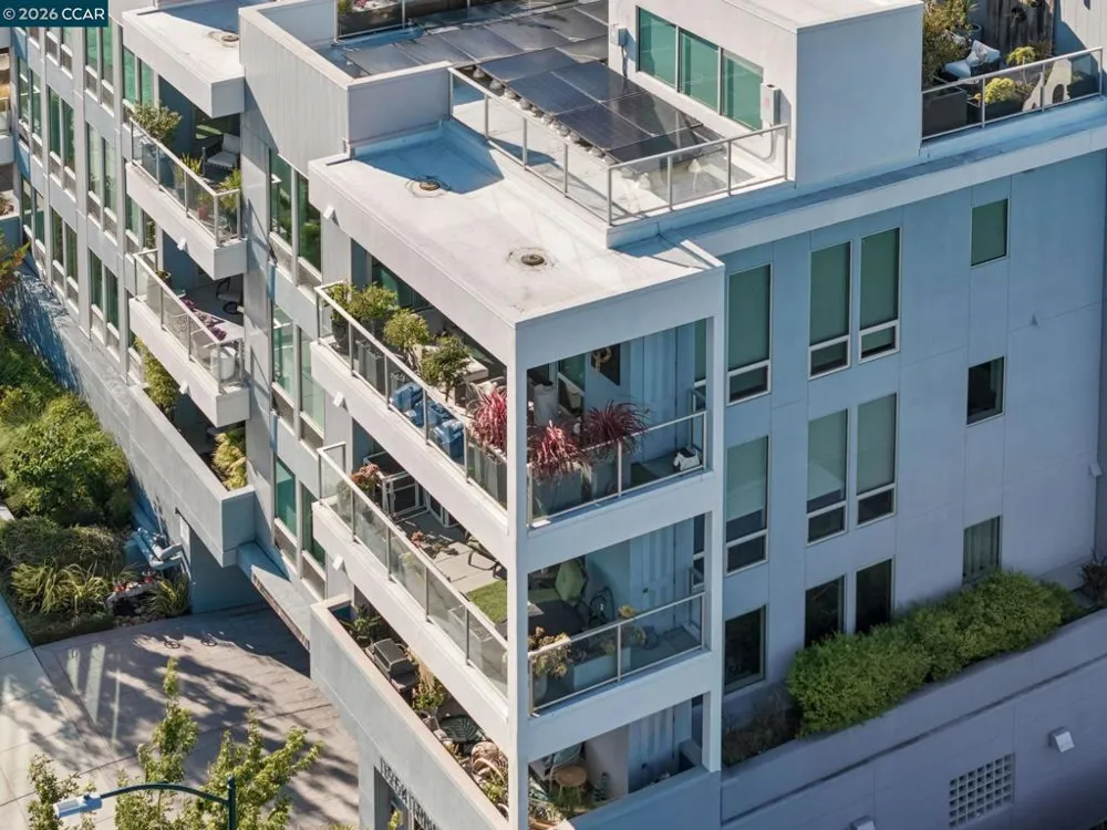 1954 Trinity Ave #303 Walnut Creek, CA 94596