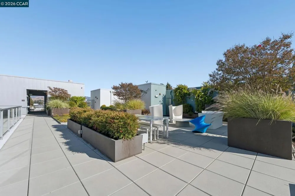 1954 Trinity Ave #303 Walnut Creek, CA 94596