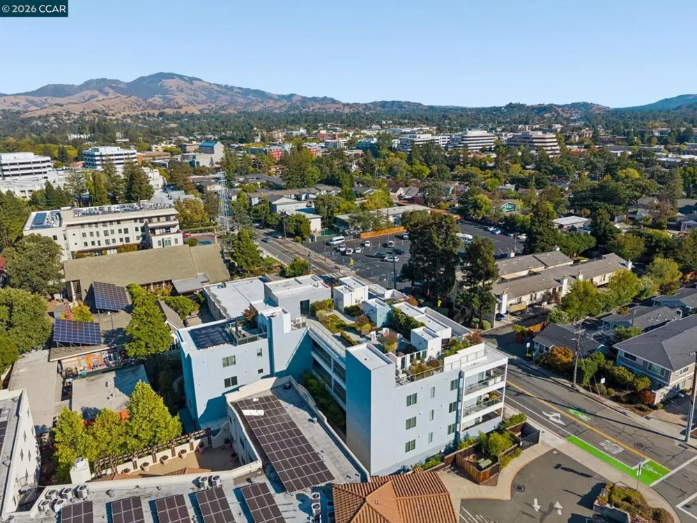 1954 Trinity Ave #303 Walnut Creek, CA 94596