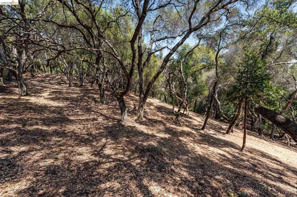 Mendenhall Rd Oakland, CA 94605