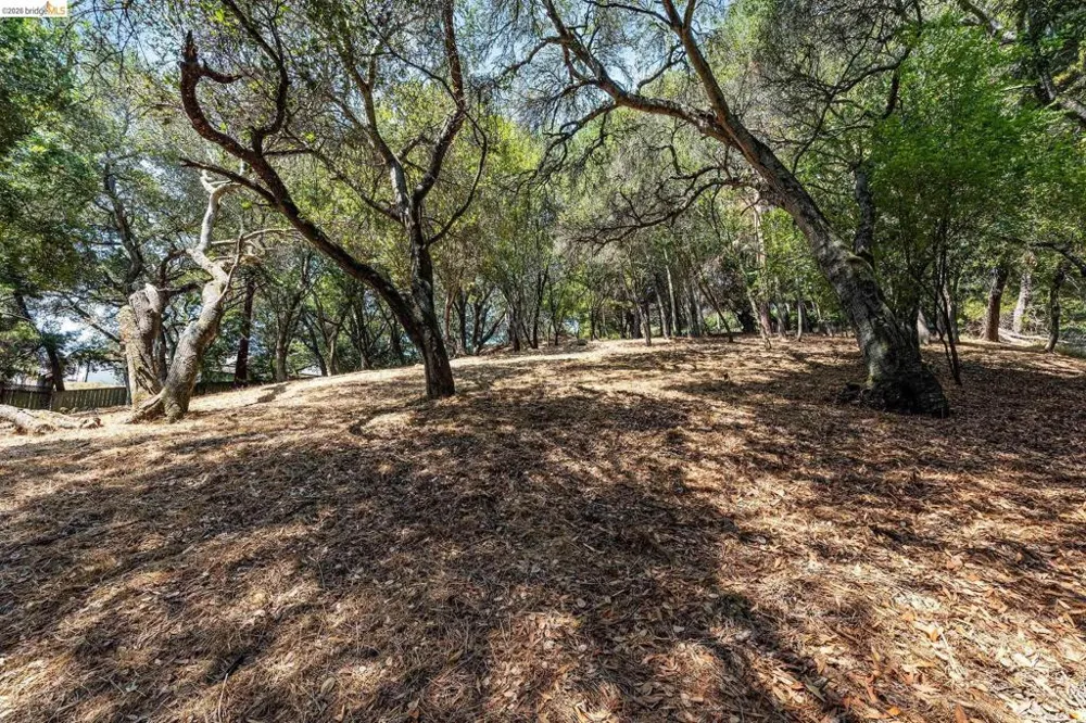 Mendenhall Rd Oakland, CA 94605