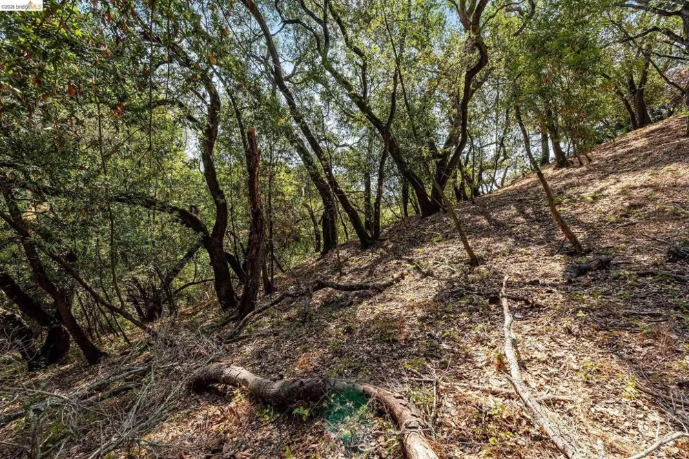 Mendenhall Rd Oakland, CA 94605