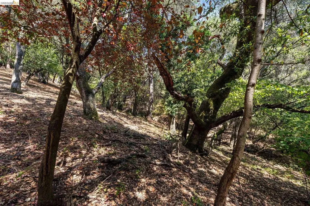 Mendenhall Rd Oakland, CA 94605
