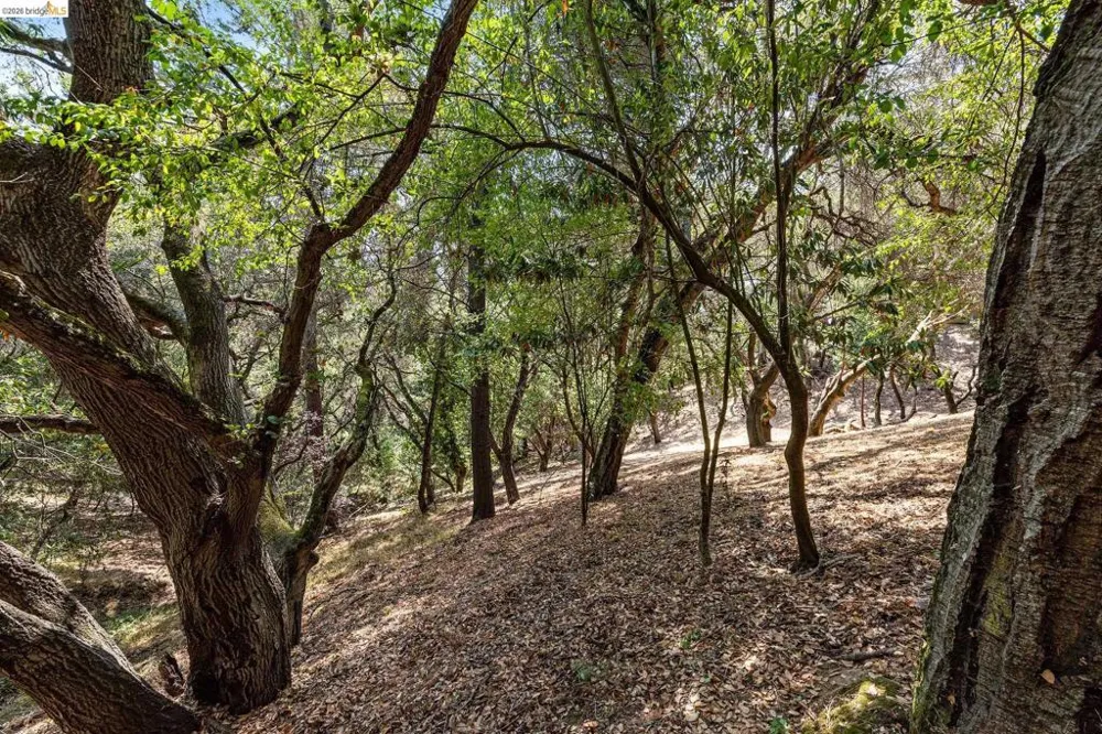 Mendenhall Rd Oakland, CA 94605