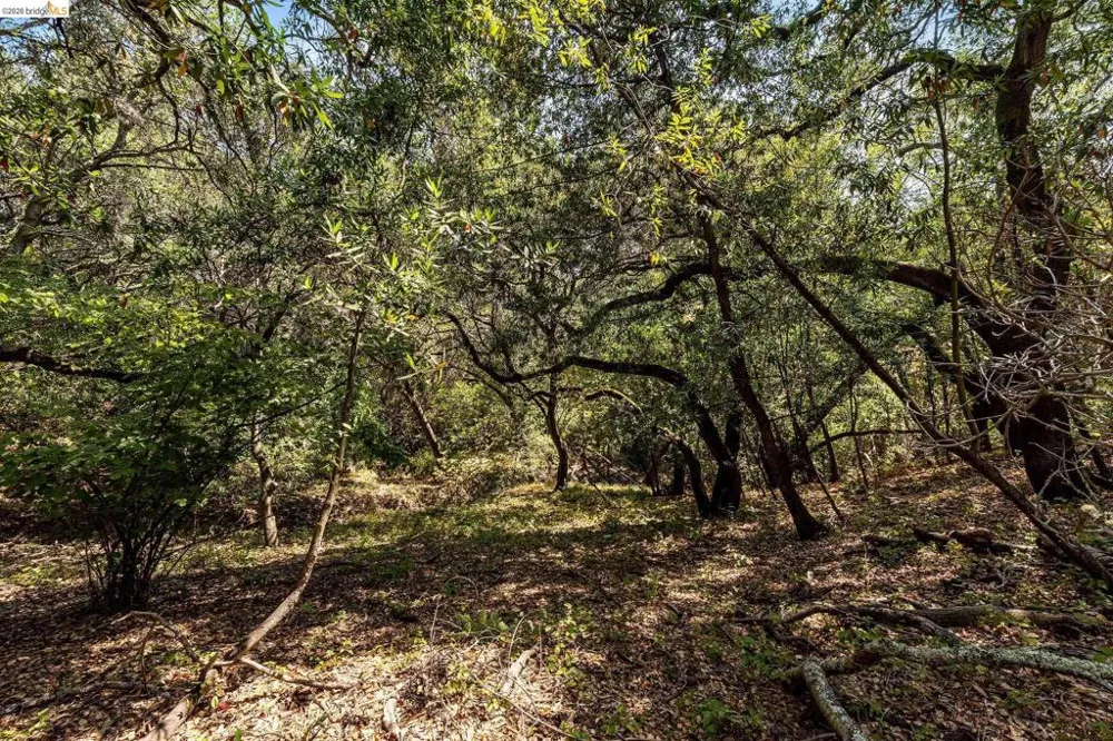 Mendenhall Rd Oakland, CA 94605