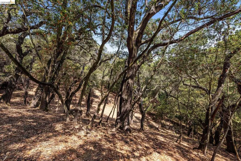 Mendenhall Rd Oakland, CA 94605