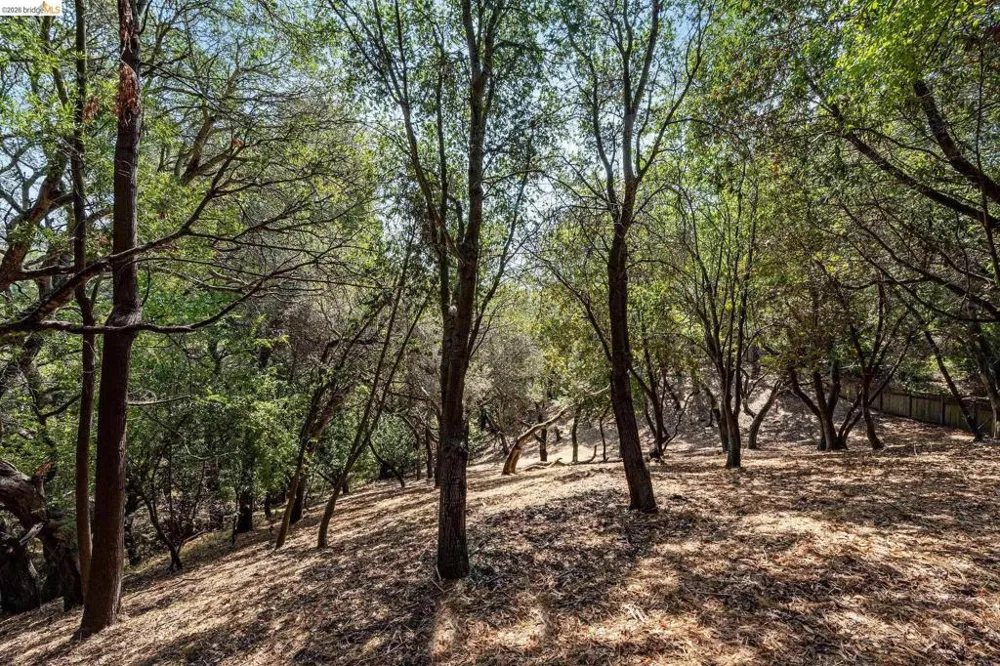 Mendenhall Rd Oakland, CA 94605