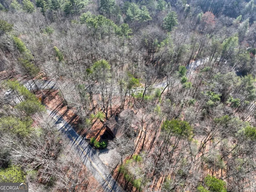 1183 Bear Paw TRL Blue Ridge, GA 30513