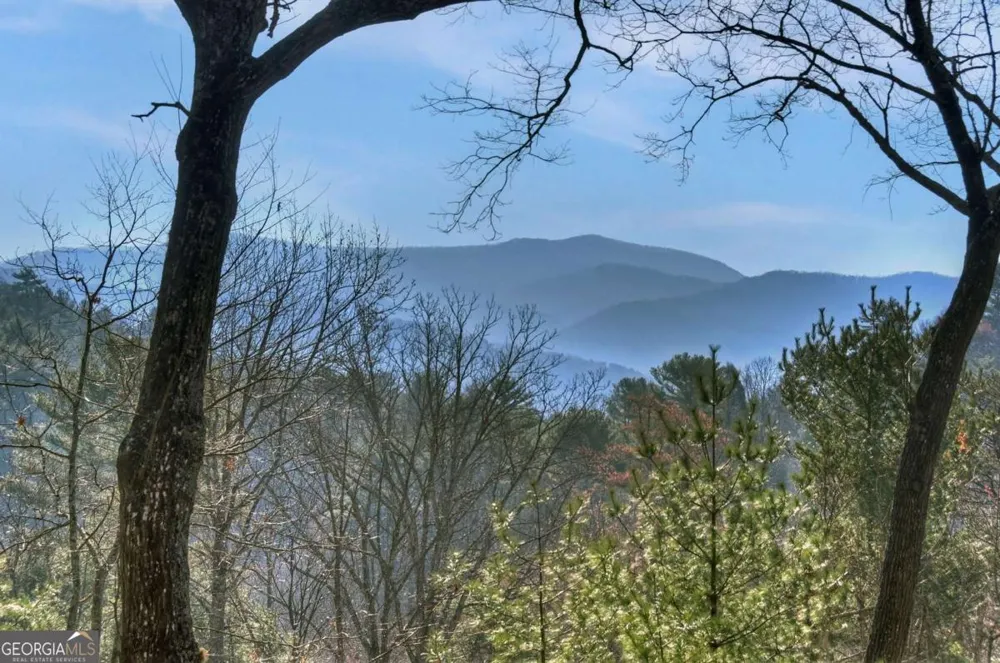 1183 Bear Paw TRL Blue Ridge, GA 30513