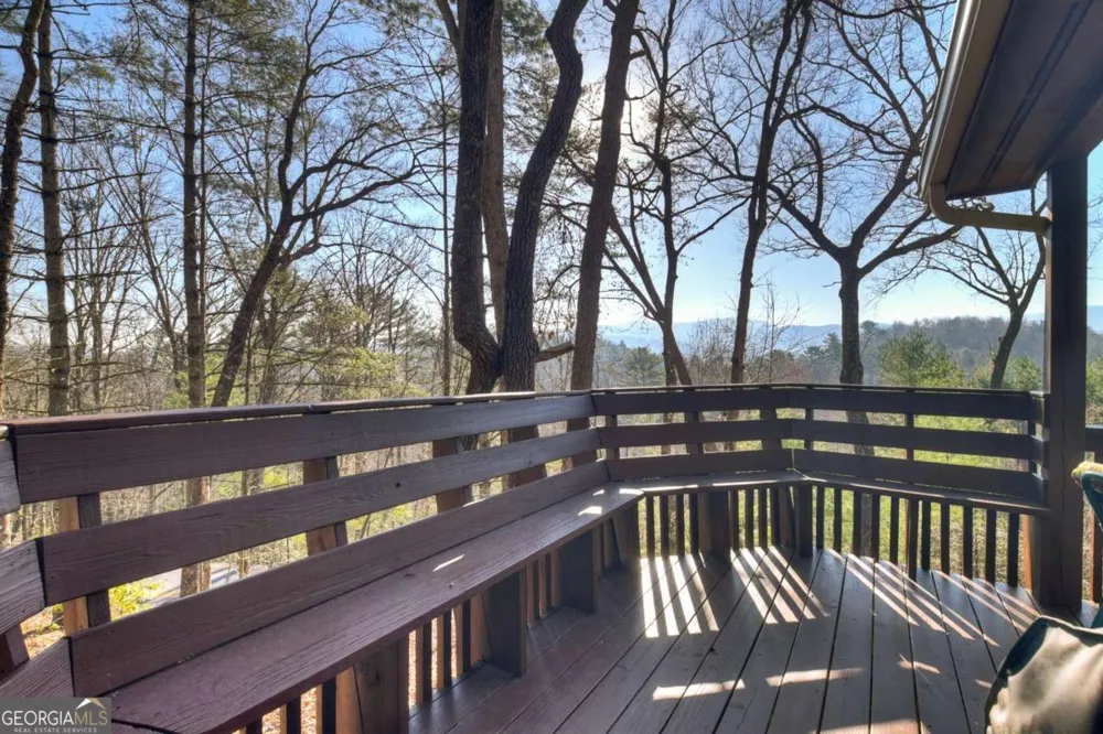 1183 Bear Paw TRL Blue Ridge, GA 30513