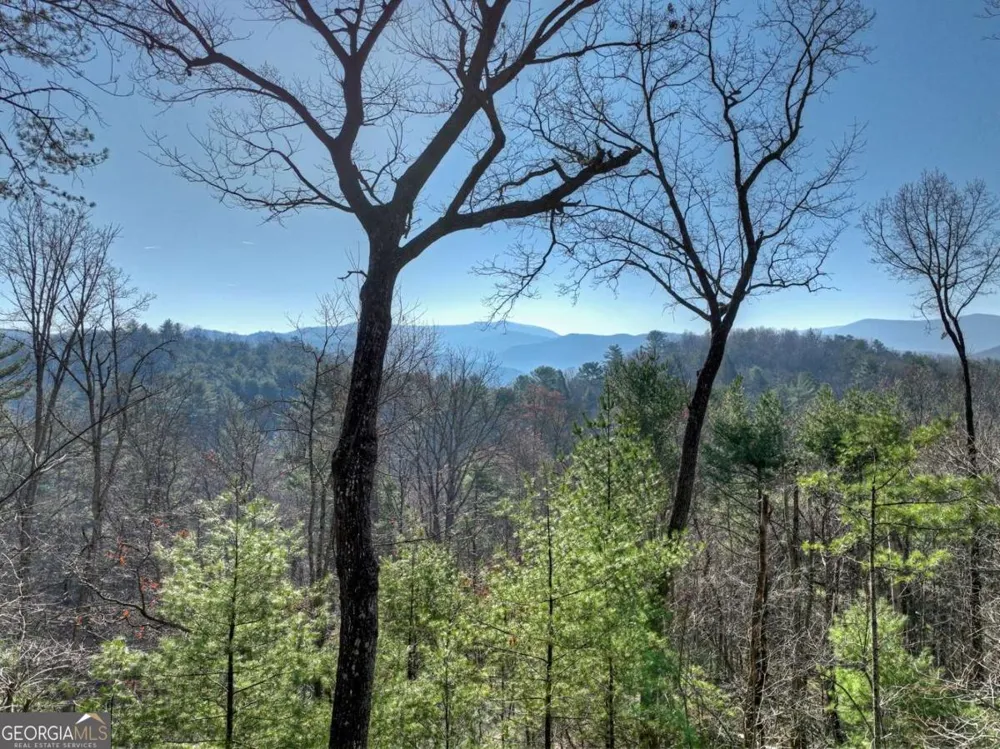 1183 Bear Paw TRL Blue Ridge, GA 30513