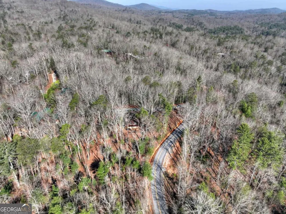1183 Bear Paw TRL Blue Ridge, GA 30513