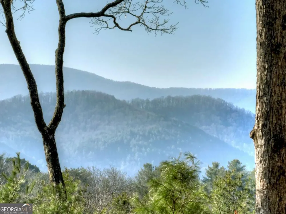 1183 Bear Paw TRL Blue Ridge, GA 30513