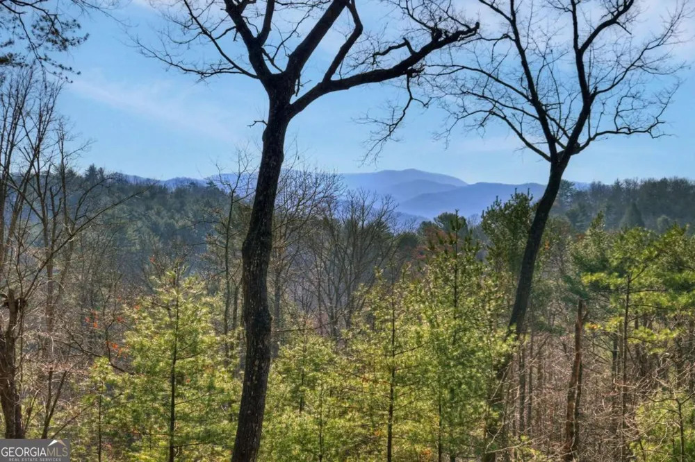 1183 Bear Paw TRL Blue Ridge, GA 30513