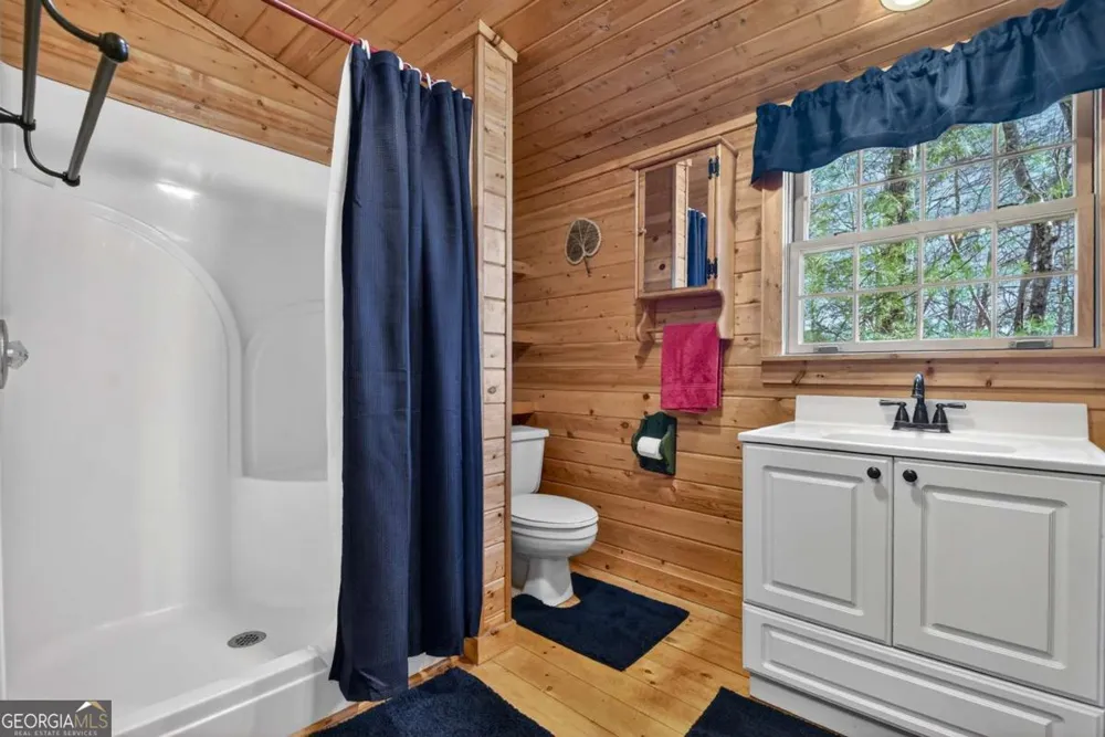 1183 Bear Paw TRL Blue Ridge, GA 30513