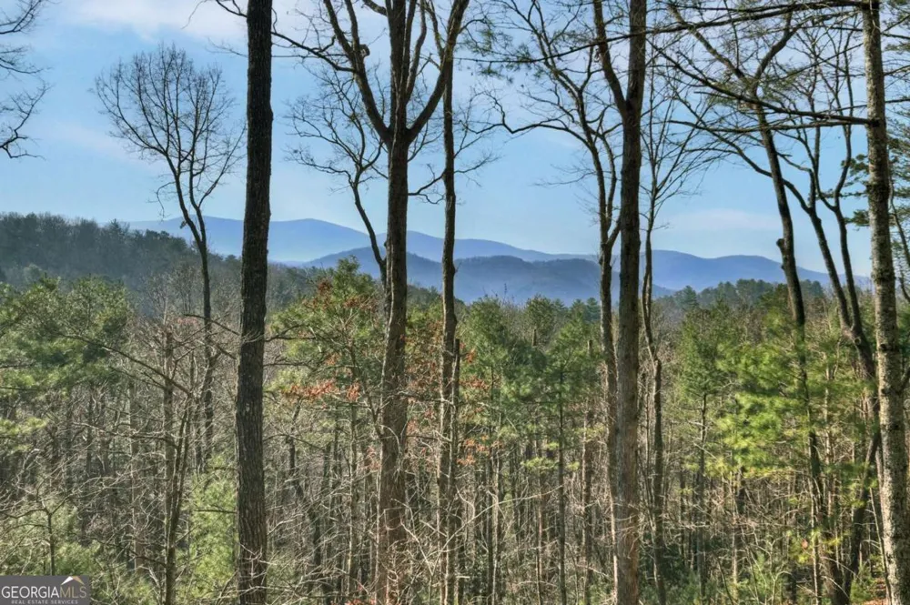 1183 Bear Paw TRL Blue Ridge, GA 30513