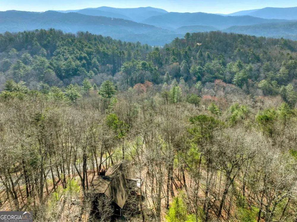 1183 Bear Paw TRL Blue Ridge, GA 30513