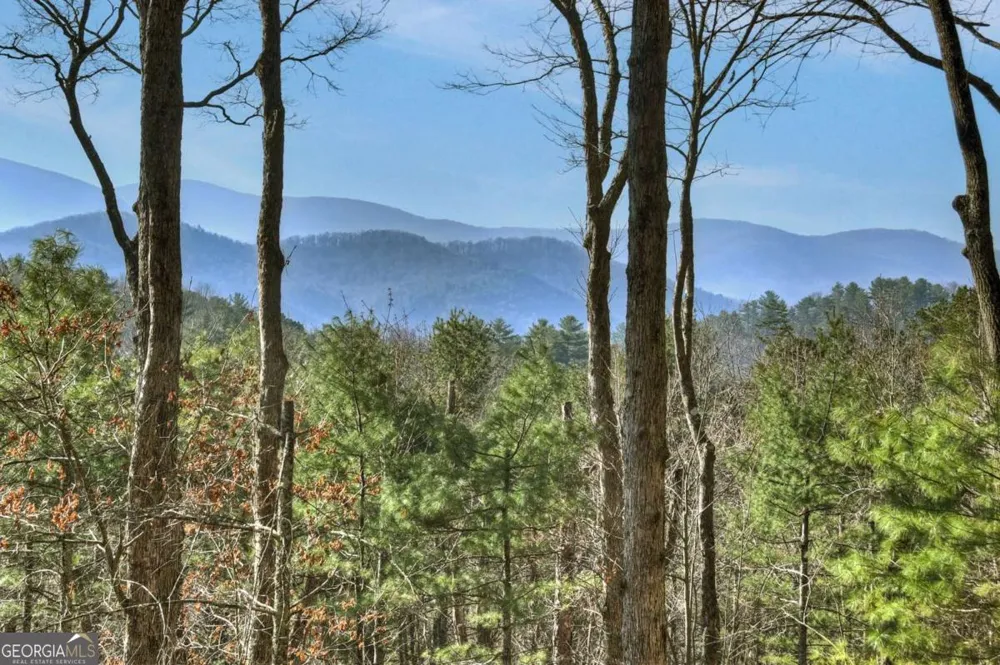 1183 Bear Paw TRL Blue Ridge, GA 30513