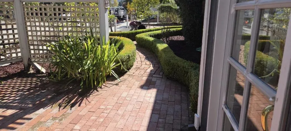 311 Tait Avenue Los Gatos, CA 95030