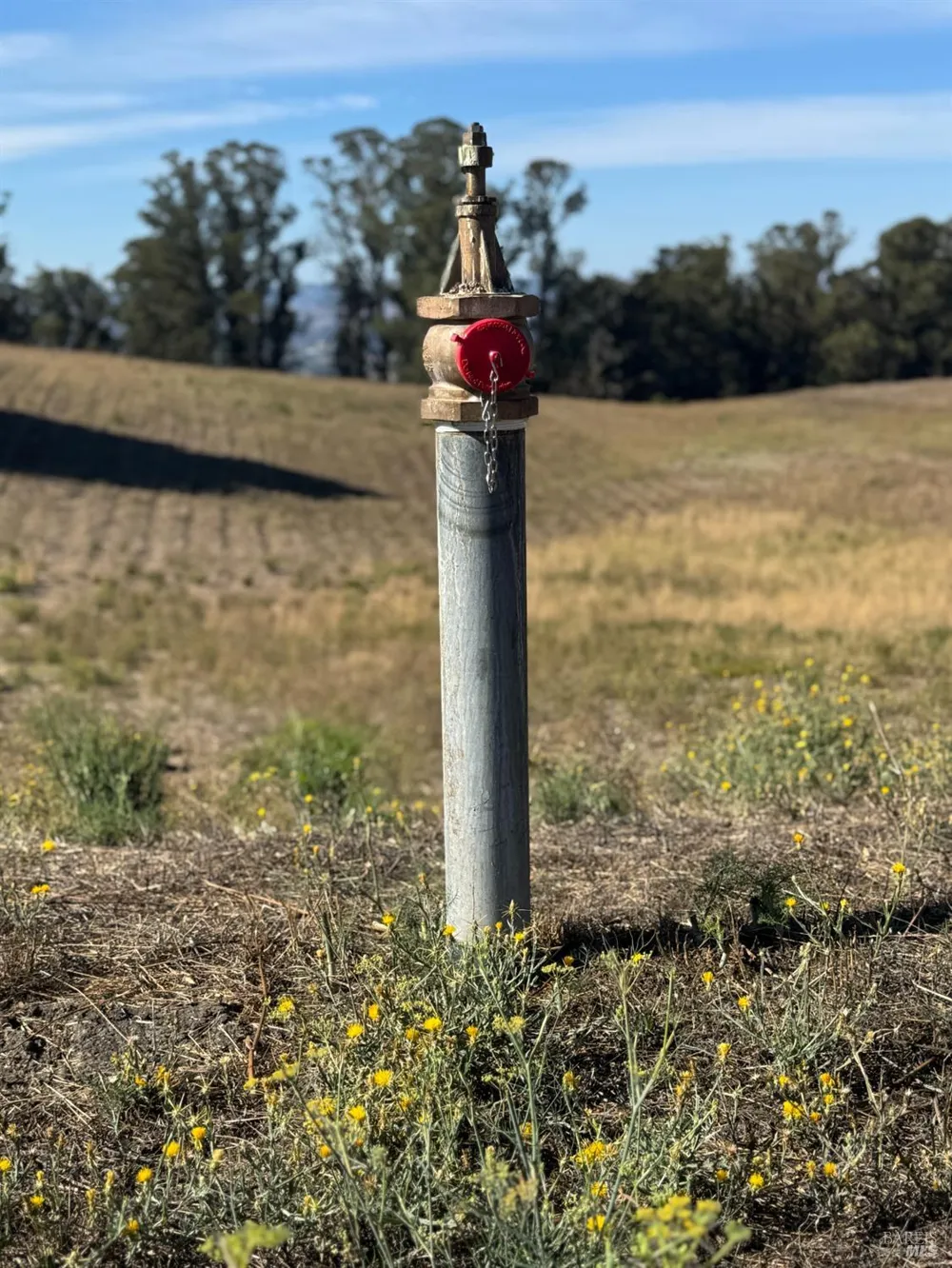 4663 Hillsborough Drive Petaluma, CA 94954