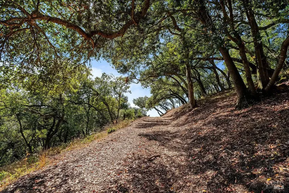 4663 Hillsborough Drive Petaluma, CA 94954