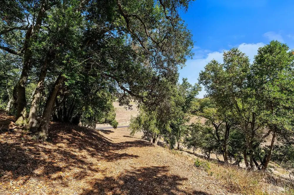 4663 Hillsborough Drive Petaluma, CA 94954