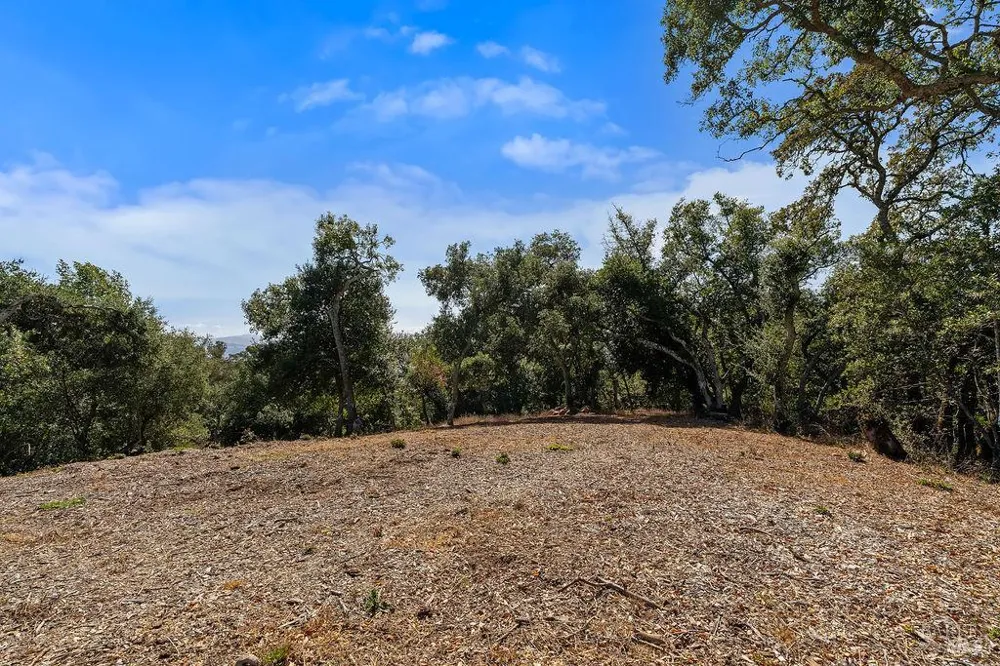 4663 Hillsborough Drive Petaluma, CA 94954