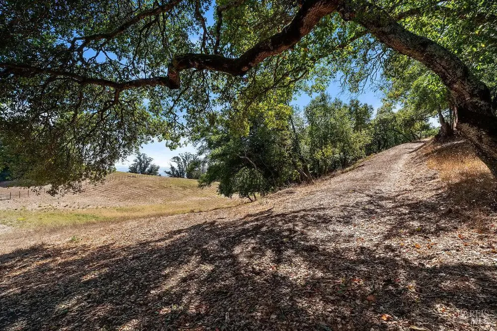 4663 Hillsborough Drive Petaluma, CA 94954