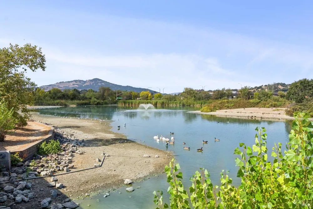 1263 Valley Oak Court ##D Novato, CA 94947