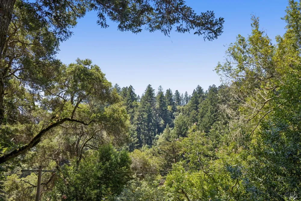 30 Escondida Lane Lagunitas, CA 94938