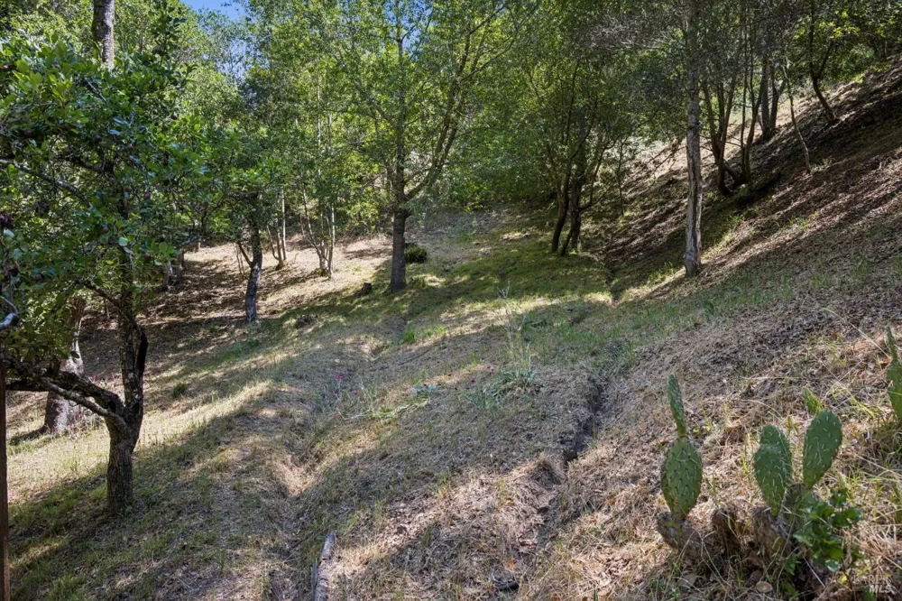 30 Escondida Lane Lagunitas, CA 94938