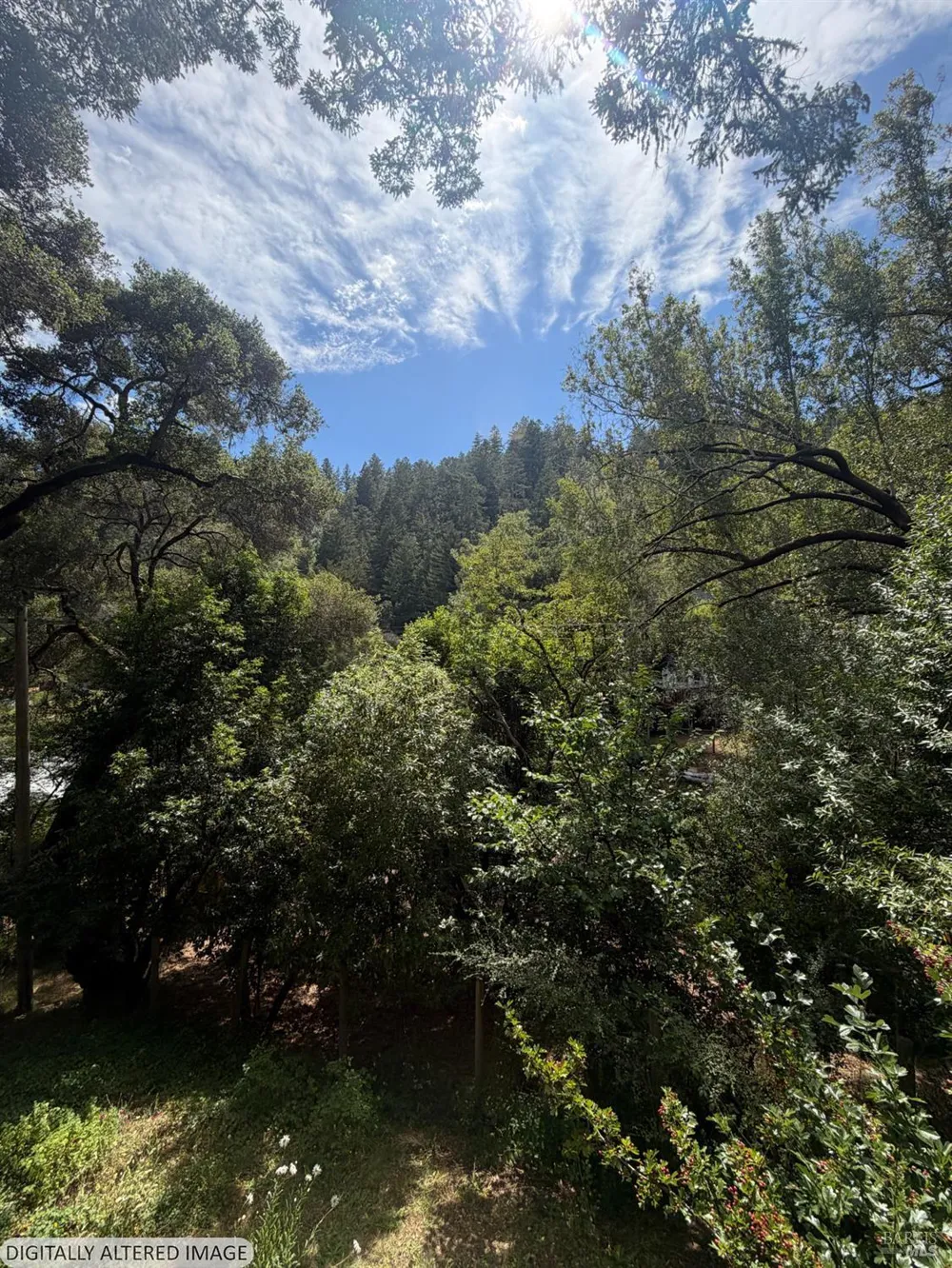 30 Escondida Lane Lagunitas, CA 94938
