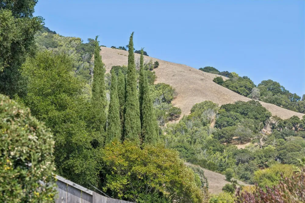 1162 Idylberry Road San Rafael, CA 94903