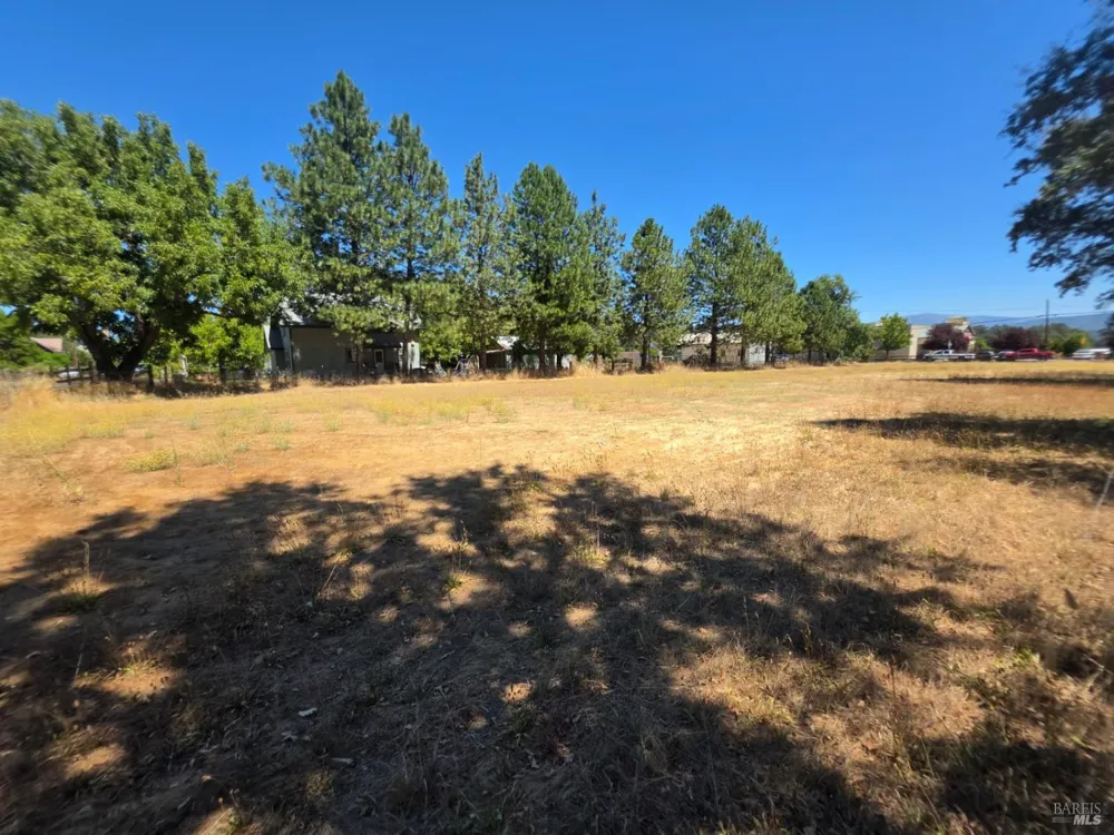 76150 Main Street Covelo, CA 95428