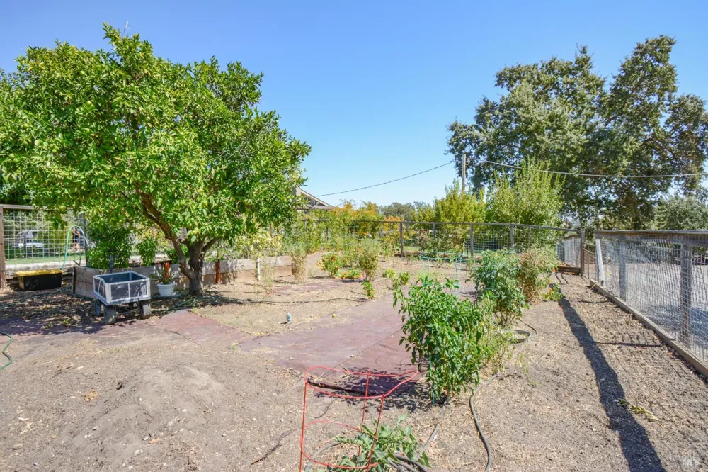 3832 Serenity Hills Road Vacaville, CA 95688