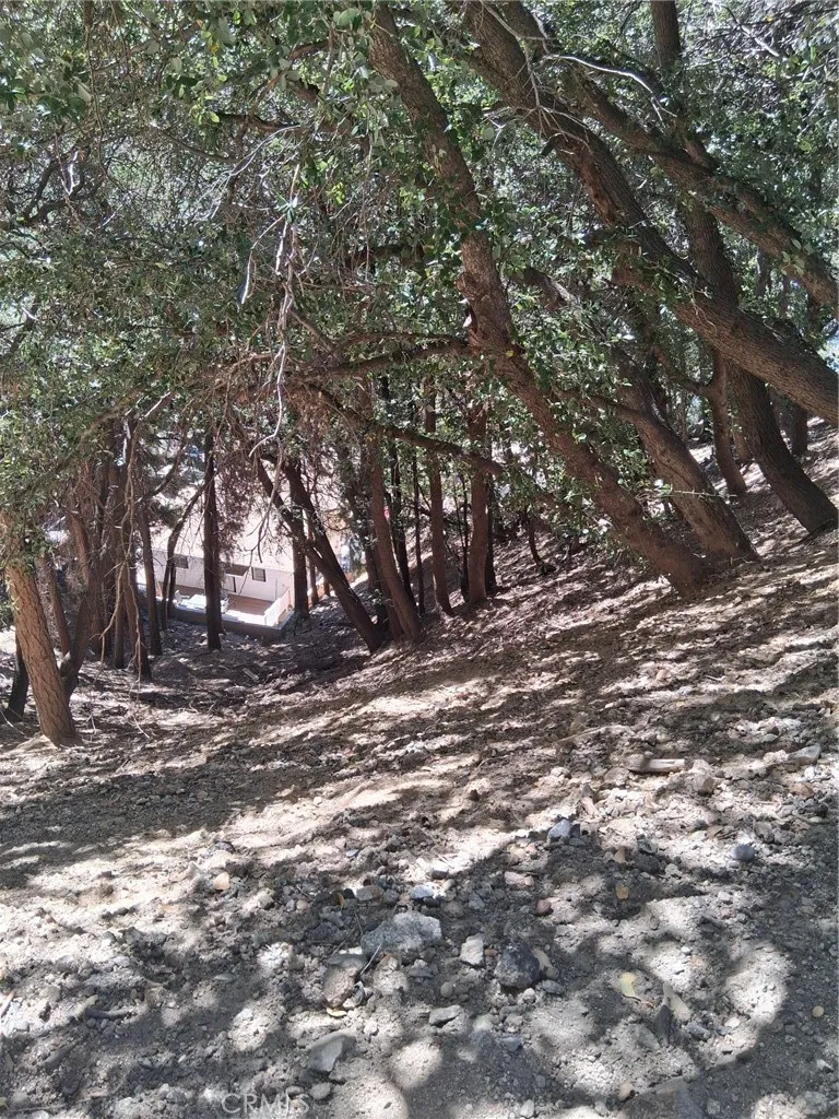 10 Delle Crestline, CA 92325
