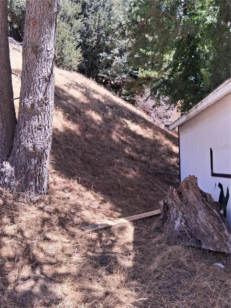 10 Delle Crestline, CA 92325
