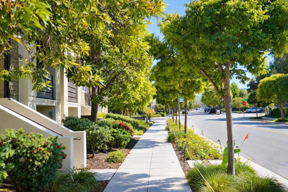 2823 Olivares Lane San Mateo, CA 94403